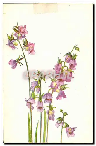 Cartes postales Fantaisie Fleurs