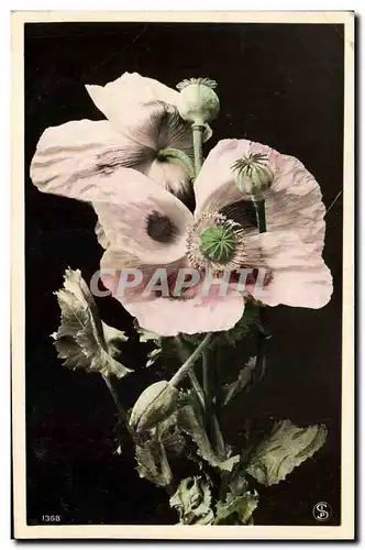 Cartes postales Fantaisie Fleurs