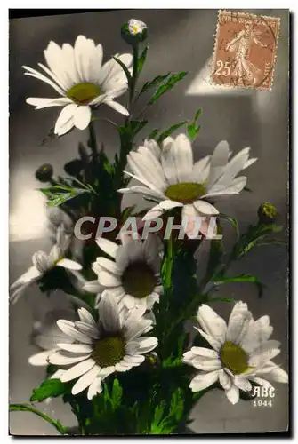 Cartes postales Fantaisie Fleurs