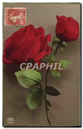 Cartes postales Fantaisie Fleurs