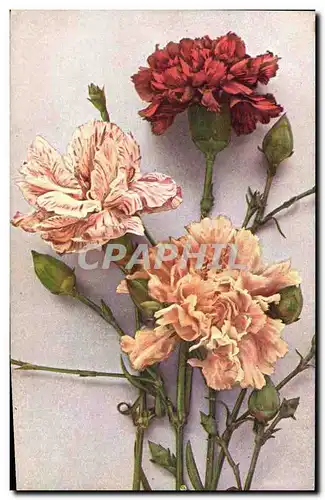 Cartes postales Fantaisie Fleurs