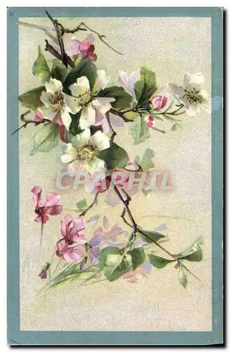 Cartes postales Fantaisie Fleurs