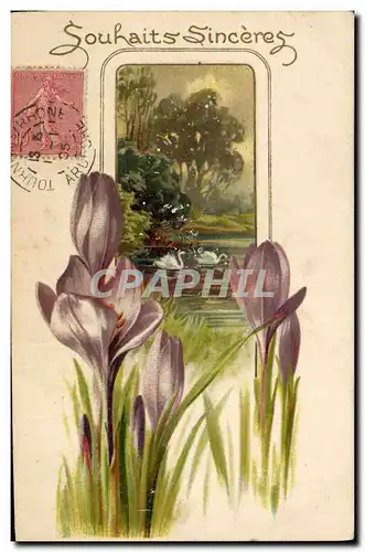 Cartes postales Fantaisie Fleurs Cygnes