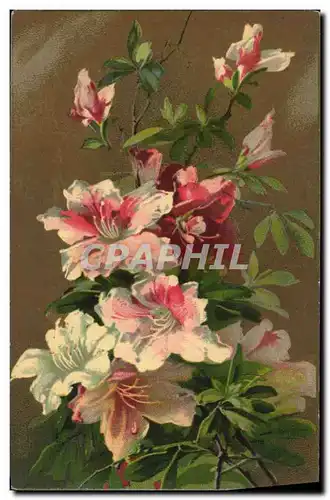 Cartes postales Fantaisie Fleurs