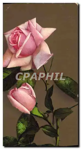 Cartes postales Fantaisie Fleurs