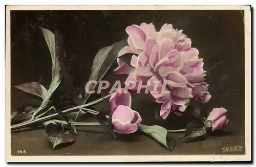 Cartes postales Fantaisie Fleurs