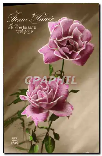 Cartes postales Fantaisie Fleurs