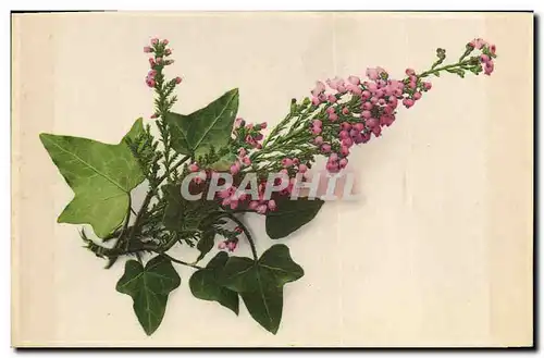 Cartes postales Fantaisie Fleurs