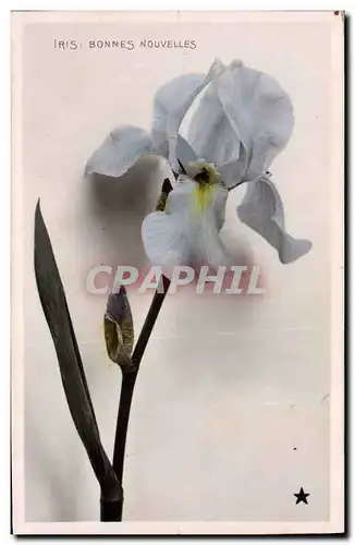 Cartes postales Fantaisie Fleurs Iris