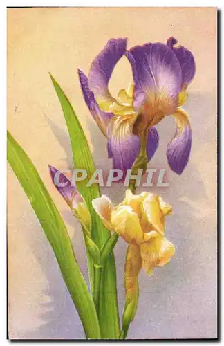 Cartes postales Fantaisie Fleurs