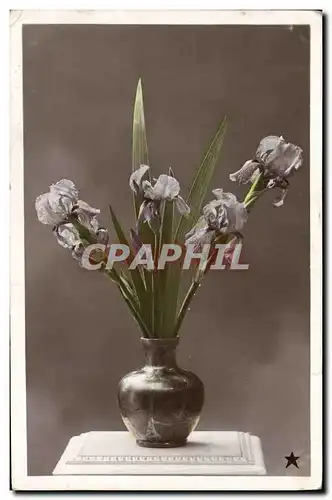 Cartes postales Fantaisie Fleurs