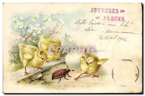 Cartes postales Poussins Insecte