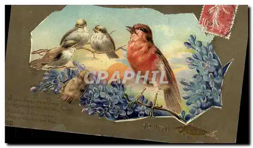 Cartes postales Oiseaux