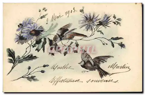 Cartes postales Oiseaux