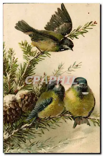 Cartes postales Oiseaux