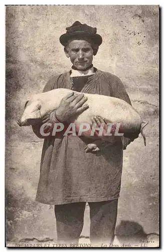 Cartes postales Cochon Porc Les deux amis