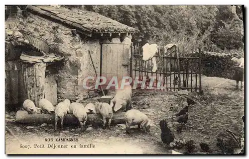 Ansichtskarte AK Cochon Porc Petit dejeuner en famille