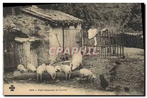 Ansichtskarte AK Cochon Porc Petit dejeuner en famille