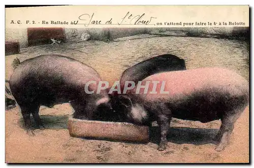 Ansichtskarte AK Cochon Porc En ballade Gare de St Cloud