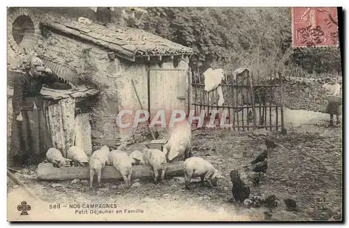 Ansichtskarte AK Cochon Porc Petit dejeuner en famille