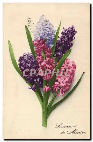 Cartes postales Fantaisie Fleurs Souvenir de Menton