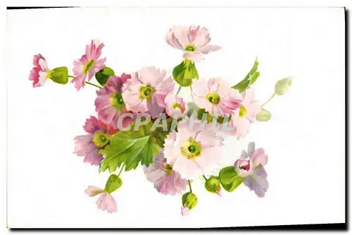 Cartes postales Fantaisie Fleurs