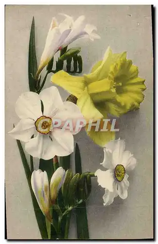 Cartes postales Fantaisie Fleurs