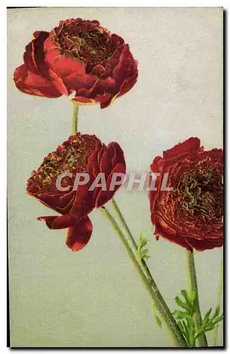 Cartes postales Fantaisie Fleurs