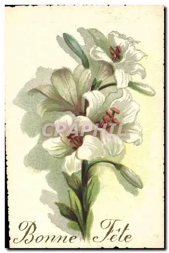 Cartes postales Fantaisie Fleurs