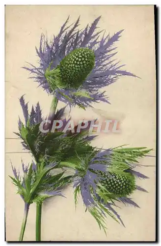 Cartes postales Fantaisie Fleurs