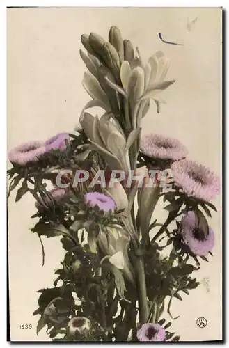 Cartes postales Fantaisie Fleurs