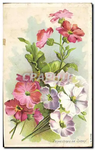 Cartes postales Fantaisie Fleurs Primeveres de jardin