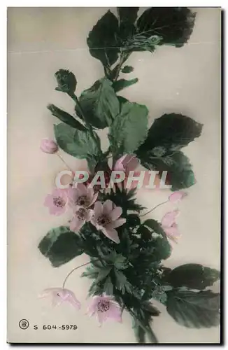 Cartes postales Fantaisie Fleurs