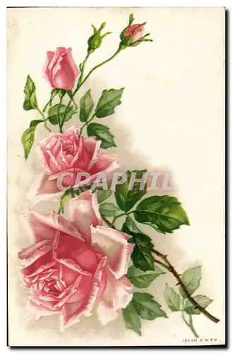 Cartes postales Fantaisie Fleurs