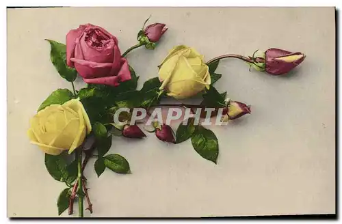 Cartes postales Fantaisie Fleurs