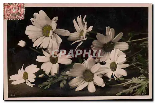 Cartes postales Fantaisie Fleurs