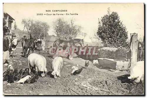 Ansichtskarte AK Cochon Porc Cour de ferme En famille