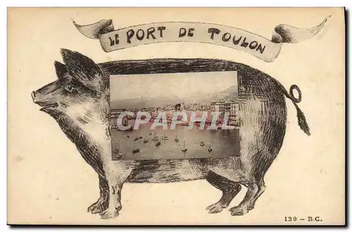 Ansichtskarte AK Cochon Porc Le port de Toulon Bateaux