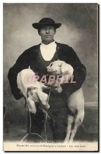 Cartes postales Cochon Porc Bretagne Paysan des environs de Huelgoat et Carhaix Les trous amis