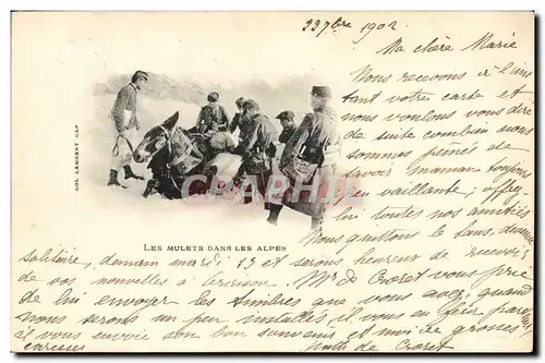 Cartes postales Militaria Chasseurs Alpins Les mulets dans les Alpes