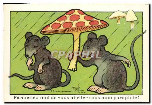 Chromo Bledine Souris Rat Champignon