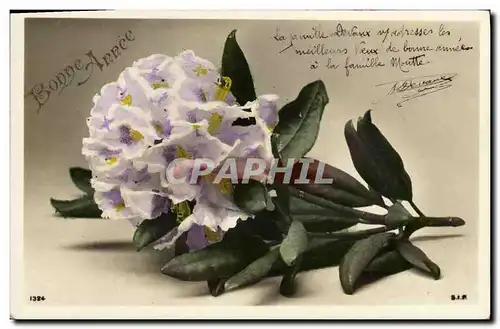 Cartes postales Fantaisie Fleurs