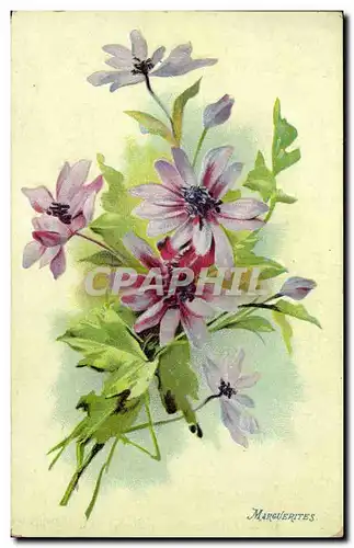 Cartes postales Fantaisie Fleurs Marguerites