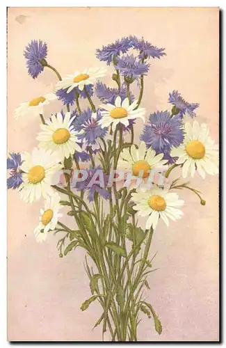 Cartes postales Fantaisie Fleurs