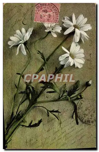 Cartes postales Fantaisie Fleurs