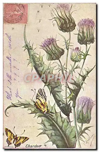 Cartes postales Fantaisie Fleurs Chardon Papillon