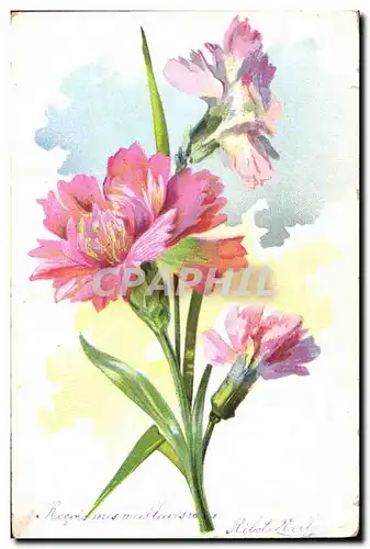 Cartes postales Fantaisie Fleurs