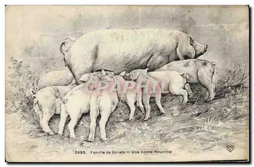Ansichtskarte AK Cochon Porc Famille de gorets Une bonne nourrice
