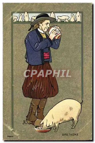 Cartes postales Cochon Porc Bretagne Folklore Menhir