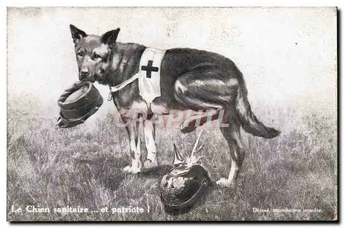 Ansichtskarte AK Fantaisie Illustrateur Militaria Le chien sanitaire et patriote Croix Rouge